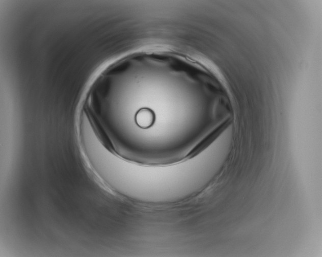 X0000113321488200909281157