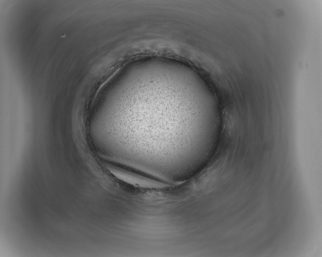 X0000113321489200909281156