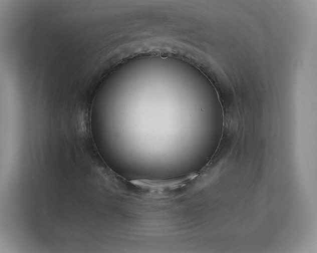 X0000113321490200909281156