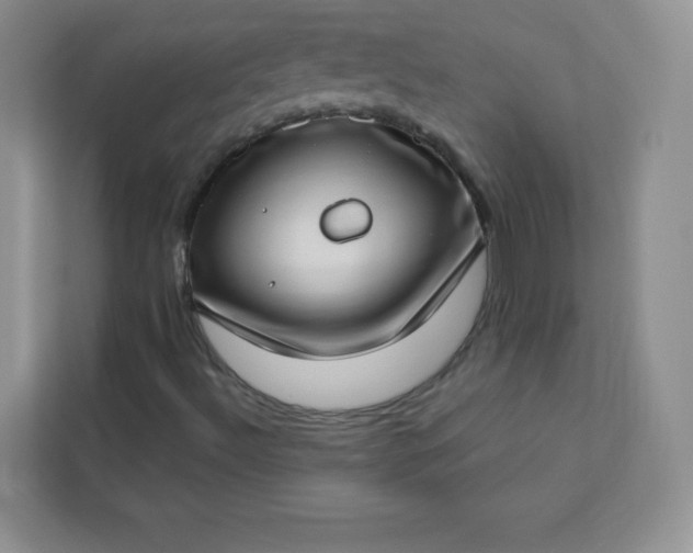 X0000113321492200909281156