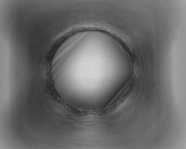 X0000113321494200909281156