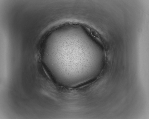 X0000113321495200909281156