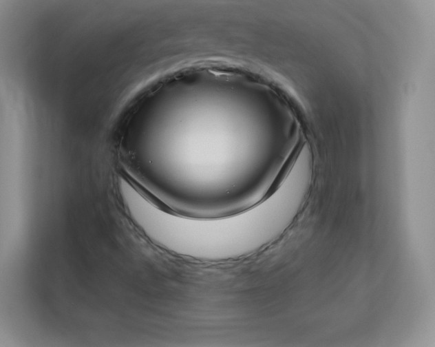 X0000113321496200909281156