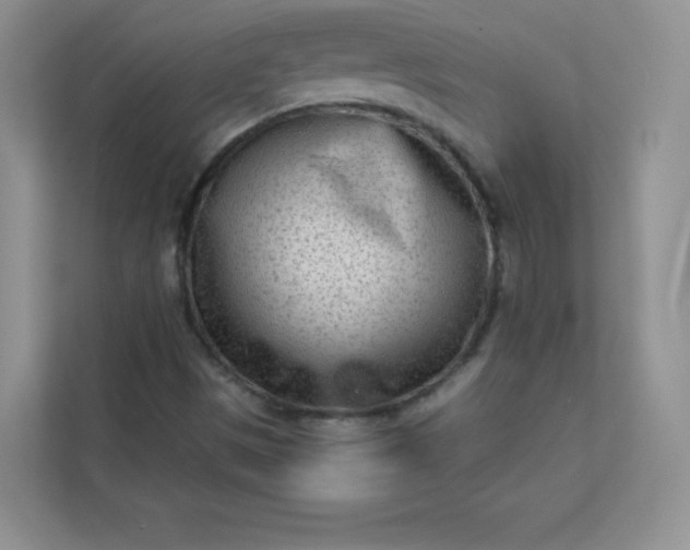 X0000113321497200909281156