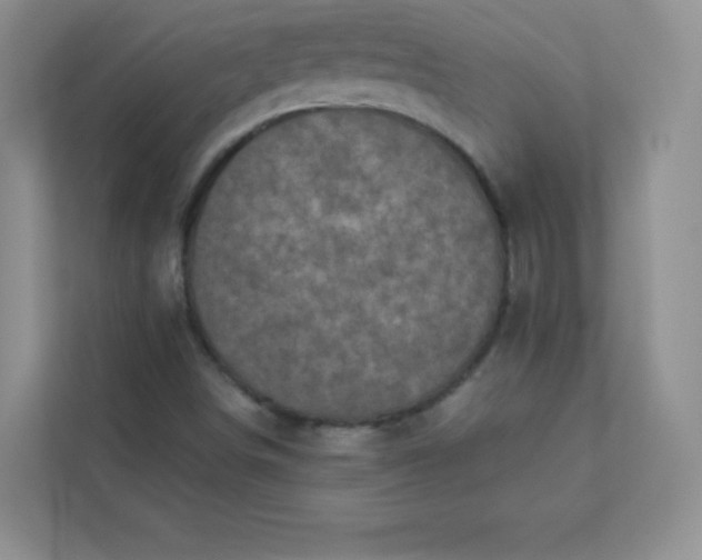 X0000113321498200909281156