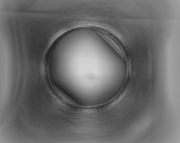 X0000113321501200909281156