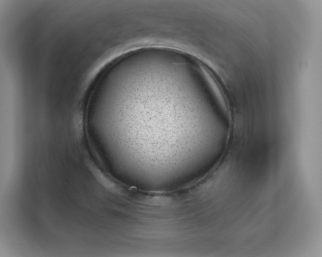 X0000113321503200909281156