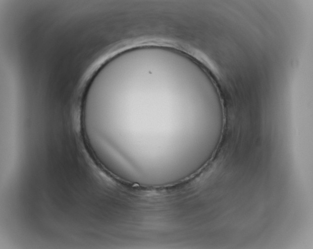 X0000113321504200909281156