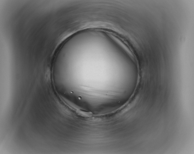 X0000113321505200909281156