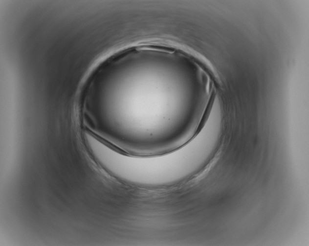 X0000113321506200909281156