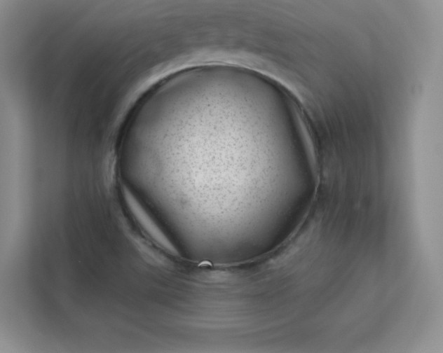 X0000113321507200909281156