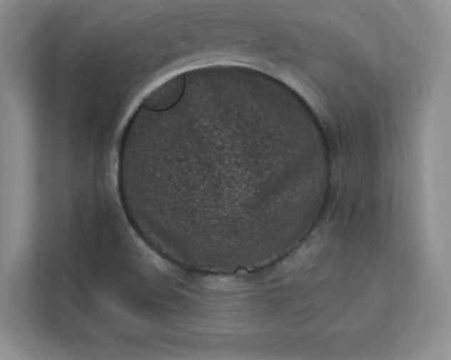 X0000113321508200909281156