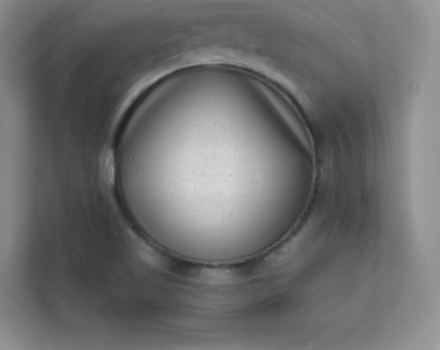 X0000113321509200909281156