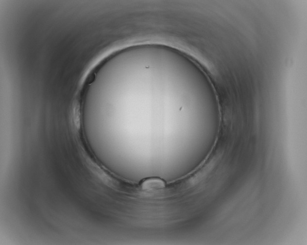 X0000113321510200909281156