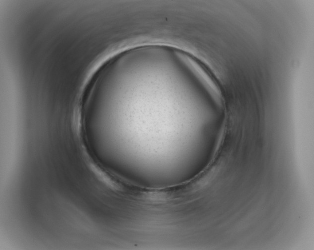 X0000113321511200909281156