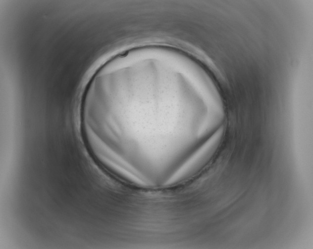 X0000113321512200909281156