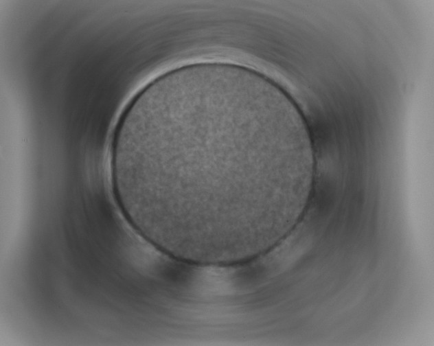 X0000113321514200909281156