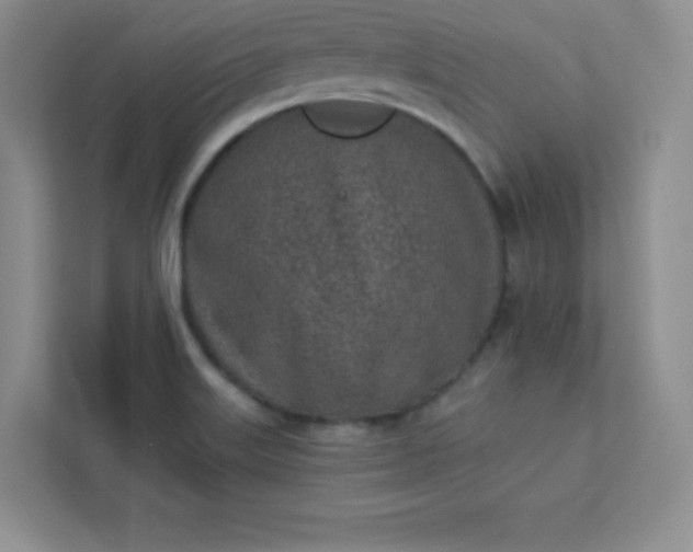 X0000113321515200909281156