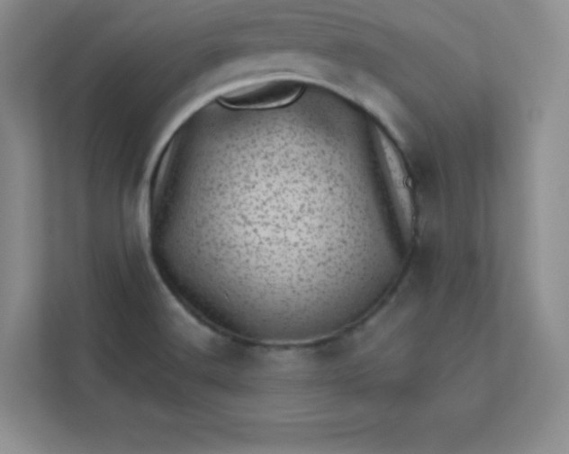 X0000113321516200909281156