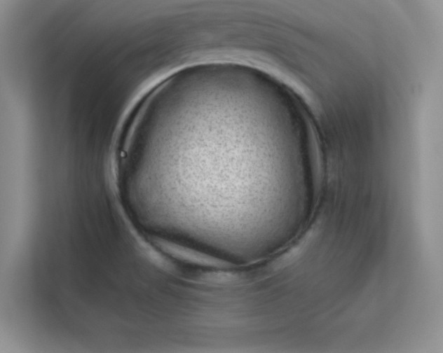 X0000113321517200909281156