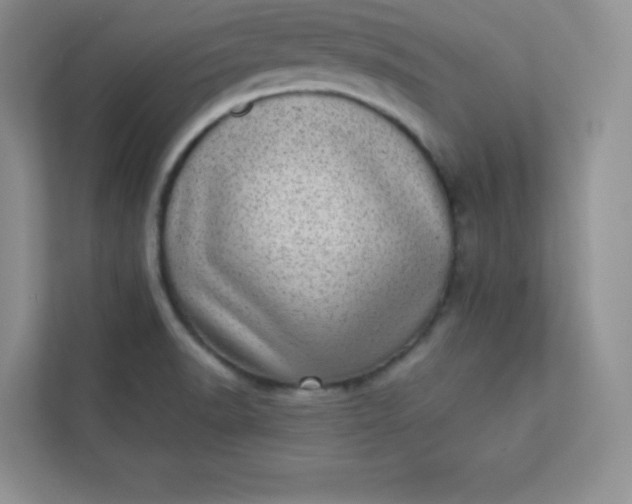 X0000113321518200909281156