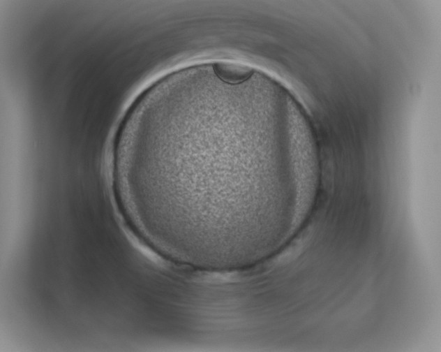 X0000113321519200909281156