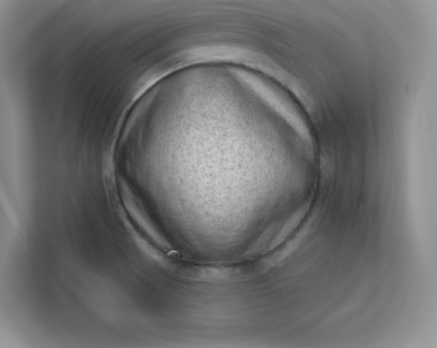 X0000113321521200909281156