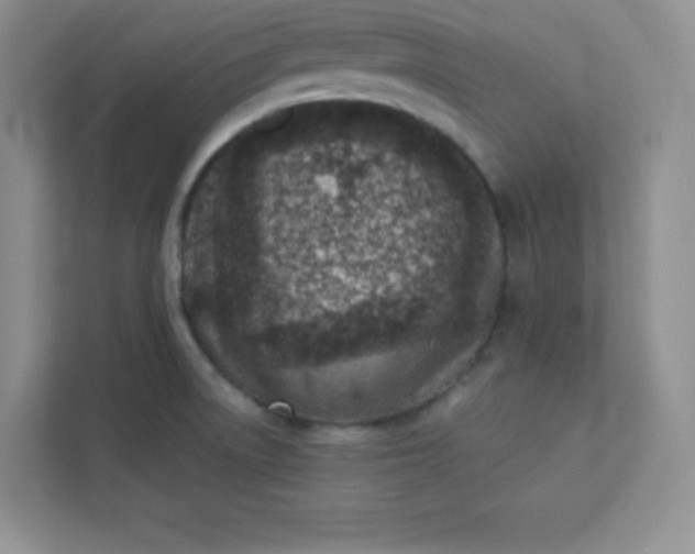 X0000113321522200909281156