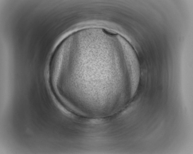 X0000113321523200909281156