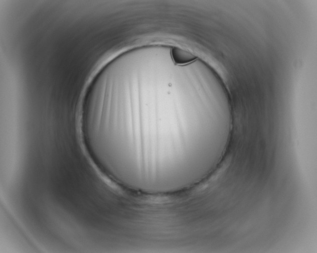 X0000113321525200909281156