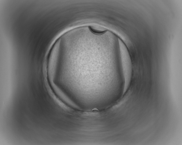 X0000113321526200909281156