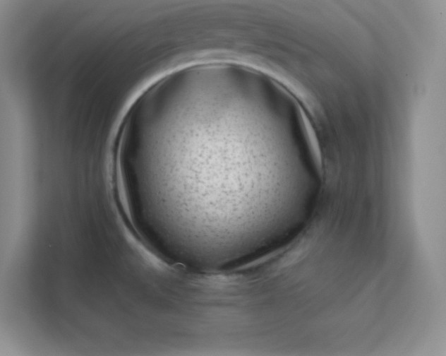 X0000113321527200909281156