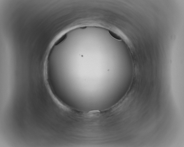 X0000113321528200909281156