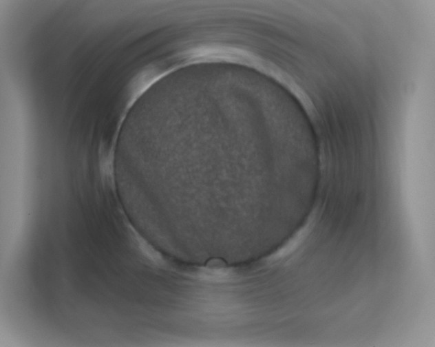 X0000113321529200909281156