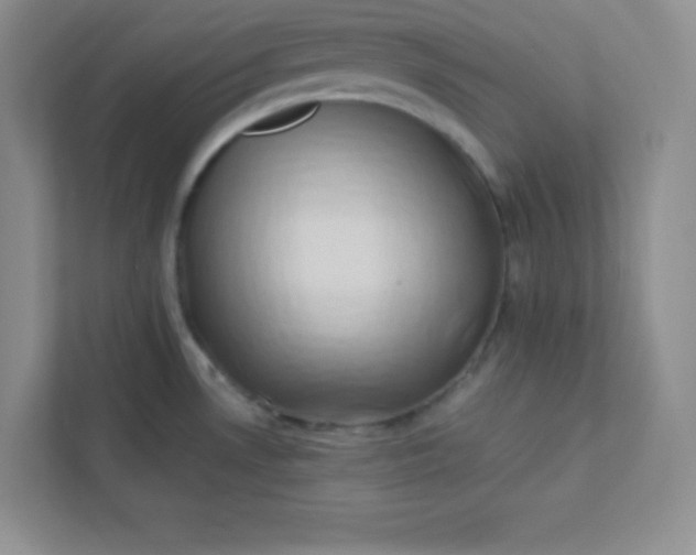 X0000113321530200909281156