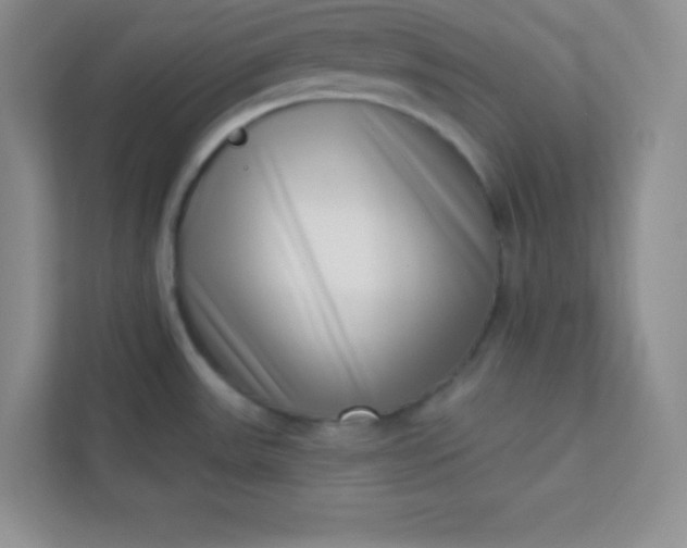 X0000113321531200909281157