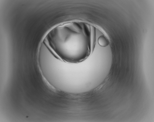 X0000113321532200909281157