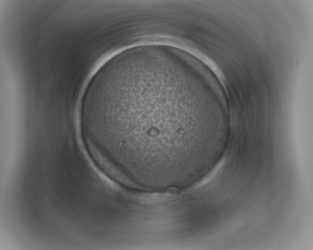 X0000113321533200909281157