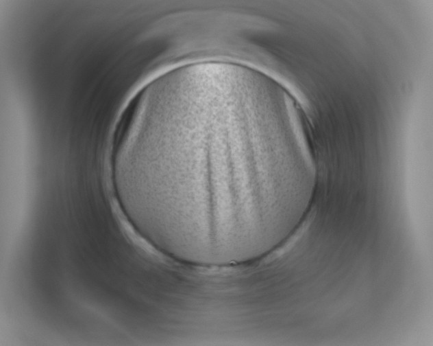 X0000113321534200909281157