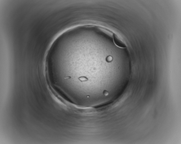 X0000113321535200909281157