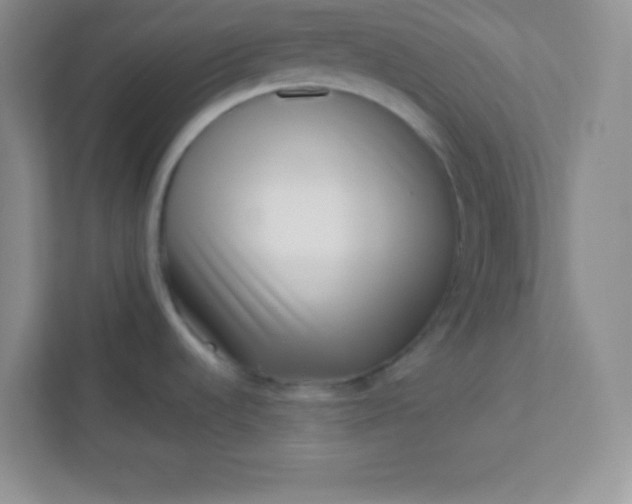 X0000113321536200909281157