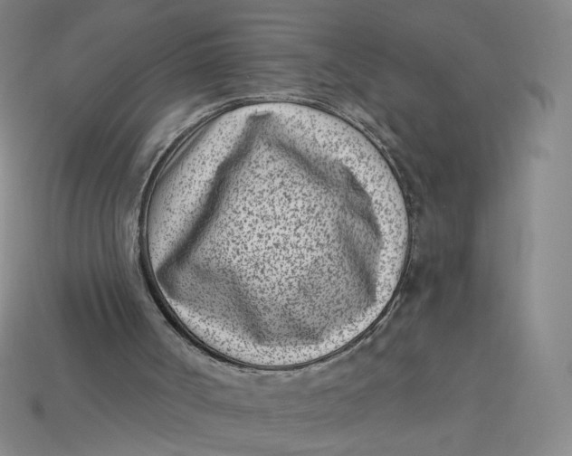 X0000113320002200910051135