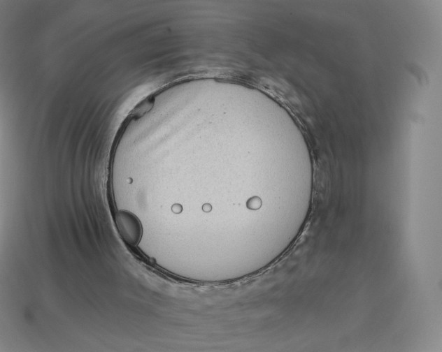 X0000113320003200910051135