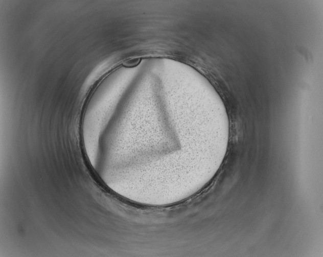 X0000113320004200910051135