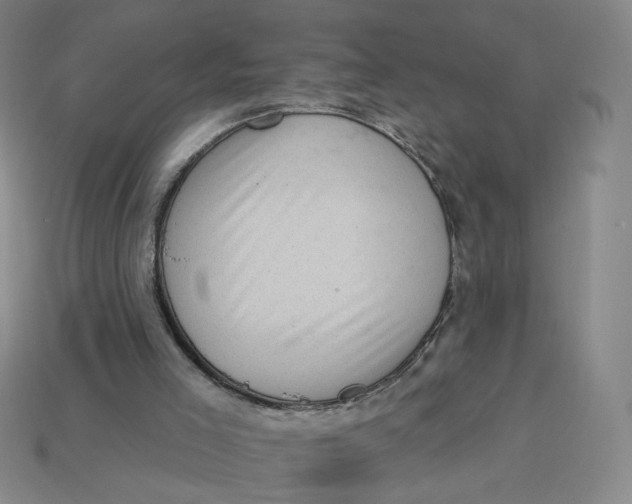 X0000113320005200910051135