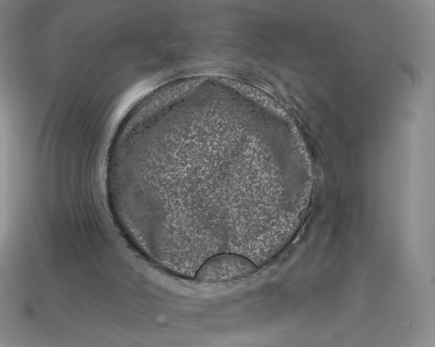 X0000113320006200910051135