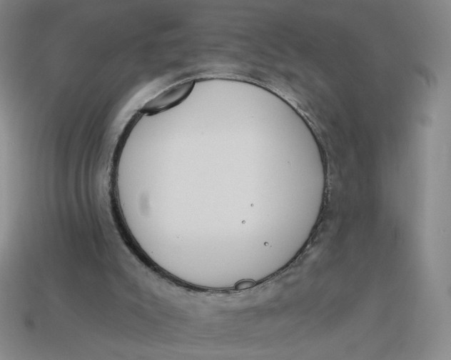 X0000113320007200910051135