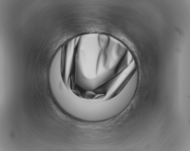 X0000113320009200910051135