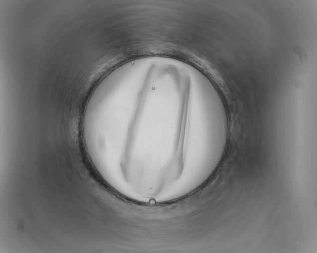 X0000113320010200910051135