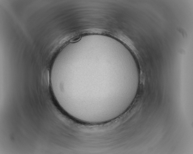 X0000113320013200910051134